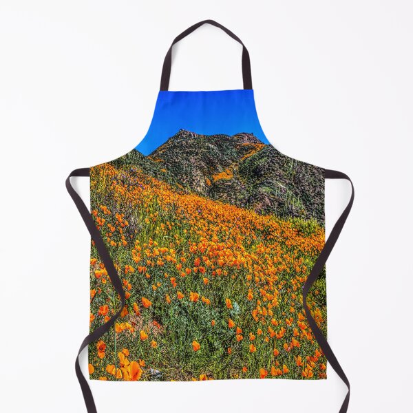 Item preview, fwc 1259 summer spring autumn usa designed and sold by fred chiea.