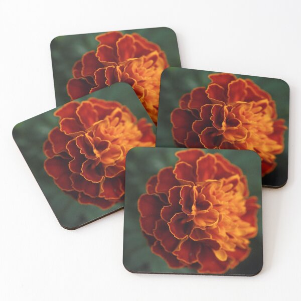 Item preview, Marigold designed and sold by StampCity.