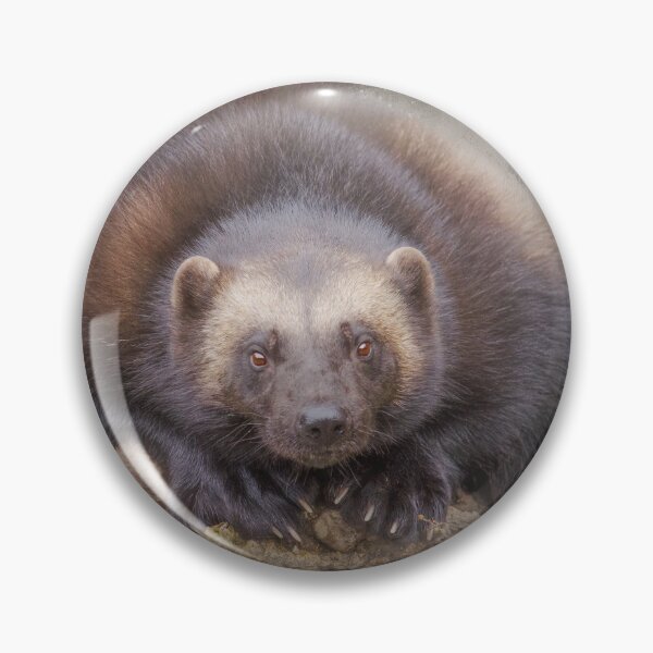 Item preview, Beautiful Wolverine designed and sold by Elisabeth Lucas.