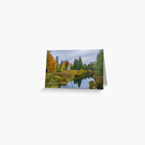 Marymoor Park Fall Scene 001 Greeting Card