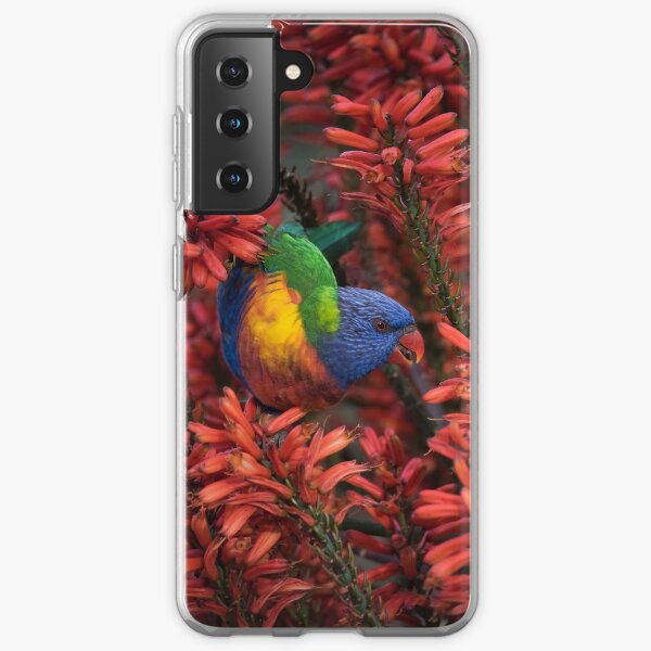 Rainbow Lorikeet in Red Flowering Aloe Samsung Galaxy Soft Case