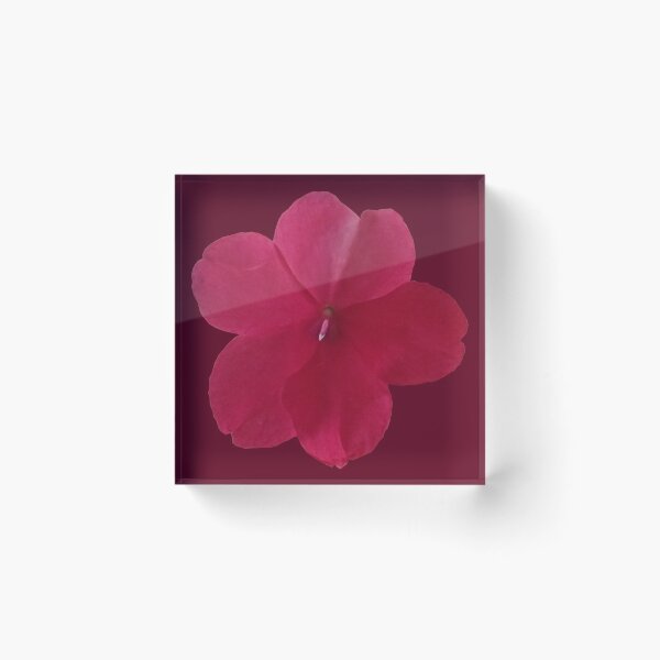Item preview, Pink Busy Lizzy no. 2 designed and sold by HKathPrint.