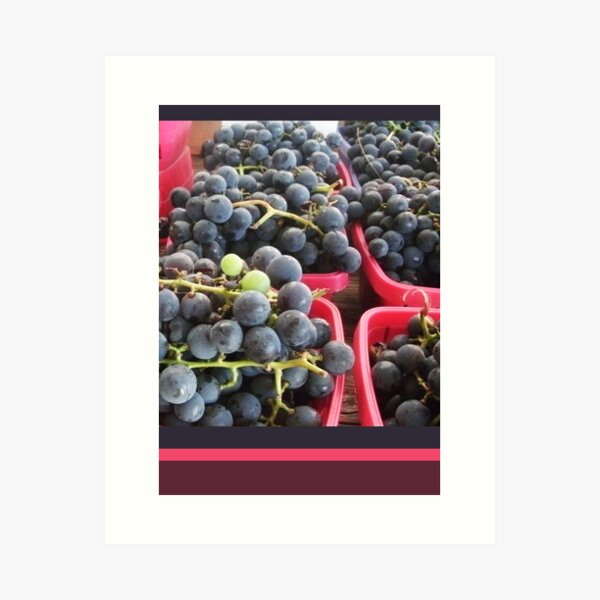 Item preview, Uvas moradas con rayas rosadas, fotografía colorida de la naturaleza de Courtney Hatcher designed and sold by cghatcherart.