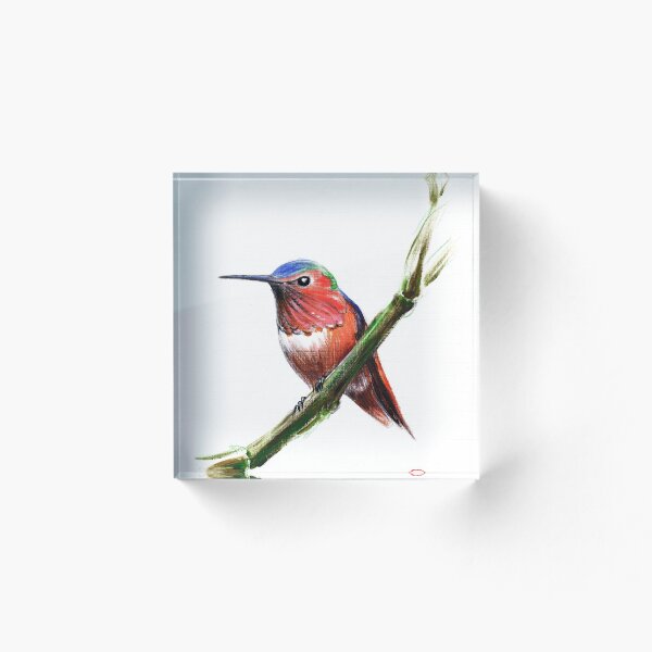 Item preview, Little Hummer - Colibrí prisma lápiz y pintura acrílica designed and sold by Rebecca Rees.
