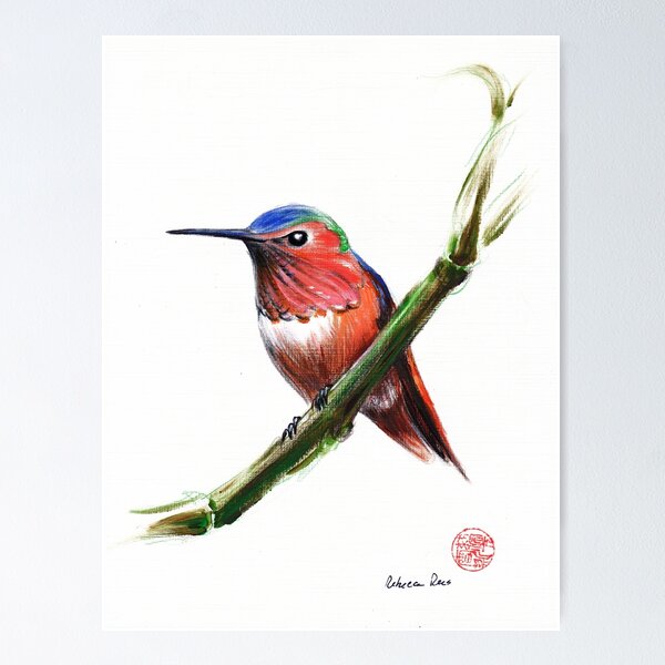Item preview, Little Hummer - Hummingbird prisma pencil & acrylic painting designed and sold by Rebecca Rees.