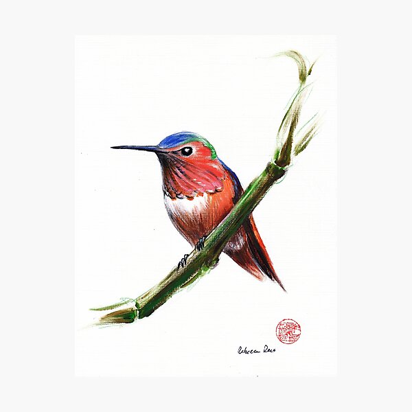 Item preview, Little Hummer - Hummingbird prisma pencil & acrylic painting designed and sold by Rebecca Rees.