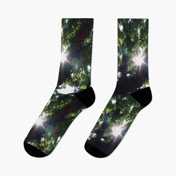 Item preview, Sunbeam Art Photography Sunshine Shining Through The Summer Tree Beautiful Nature designed and sold by tamdevo1.