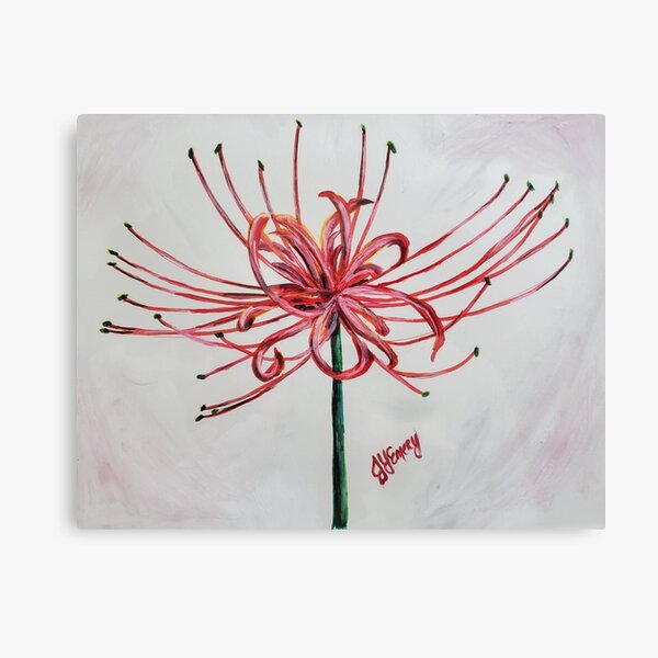 Red Spider Lily Wall Art For Sale Redbubble