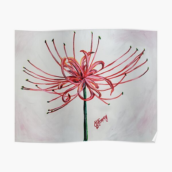 Red Spider Lily Posters Redbubble