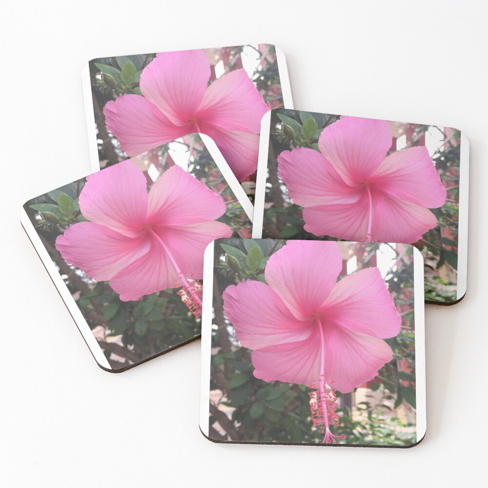 Item preview, Coasters (Set of 4) designed and sold by RitazMedia.