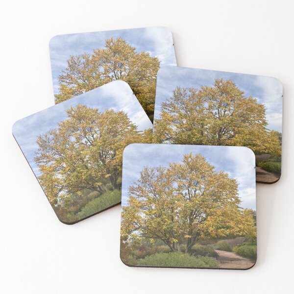 Item preview, Katsura Tree in Autumn designed and sold by Kathleen Brant.