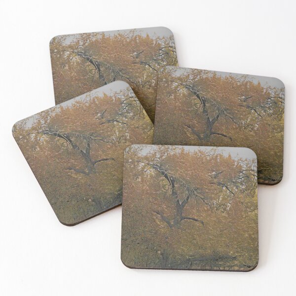 Item preview, Bur Oak illustration designed and sold by CanadianWild418.