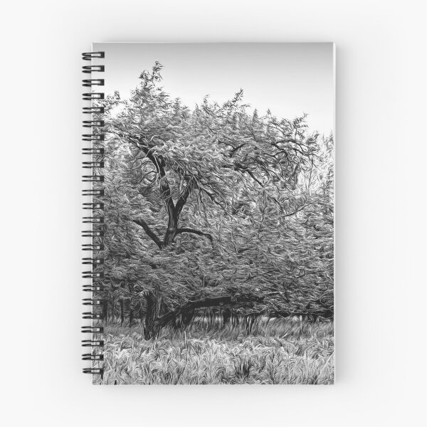 Item preview, Bur Oak in black and white illustration designed and sold by CanadianWild418.