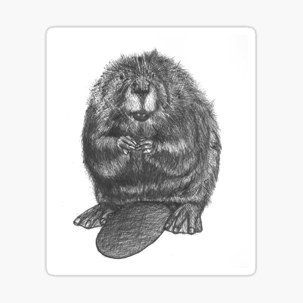 Item preview, Beaver designed and sold by Nasir Nadzir.