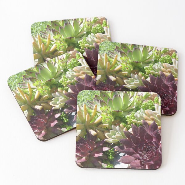 Item preview, Succulent nature designed and sold by LacorreSandrine.