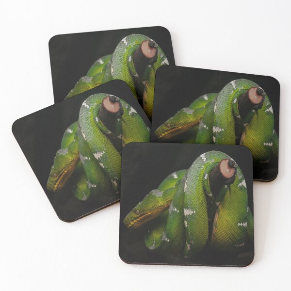Item preview, Sneaky Green snake designed and sold by JLPhotographer.