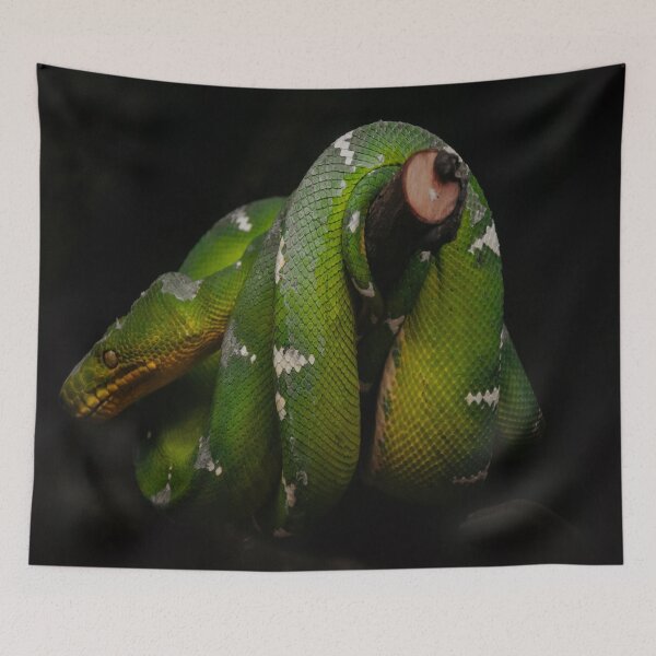 Item preview, Sneaky Green snake designed and sold by JLPhotographer.