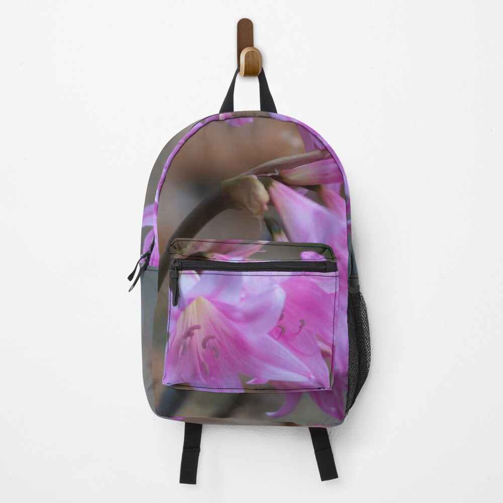 Aperçu de l'œuvre Sac à dos créée et vendue par FollowPhoto.
