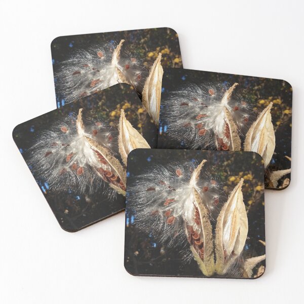 Item preview, Milkweed pods in the Autumn breeze designed and sold by edwardtiptonart.