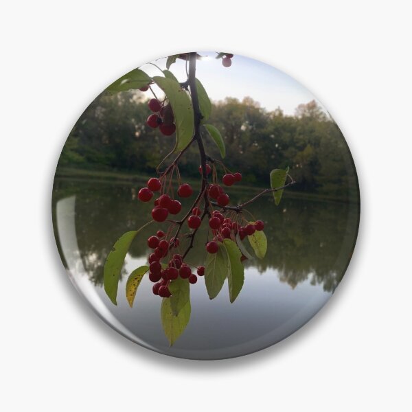 Item preview, Red Berries Against a Peaceful Pond - Tomahawk Creek Pond Overland Park KS  designed and sold by Zen  Goat.