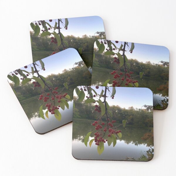 Item preview, Red Berries Against a Peaceful Pond - Tomahawk Creek Pond Overland Park KS  designed and sold by Zen  Goat.