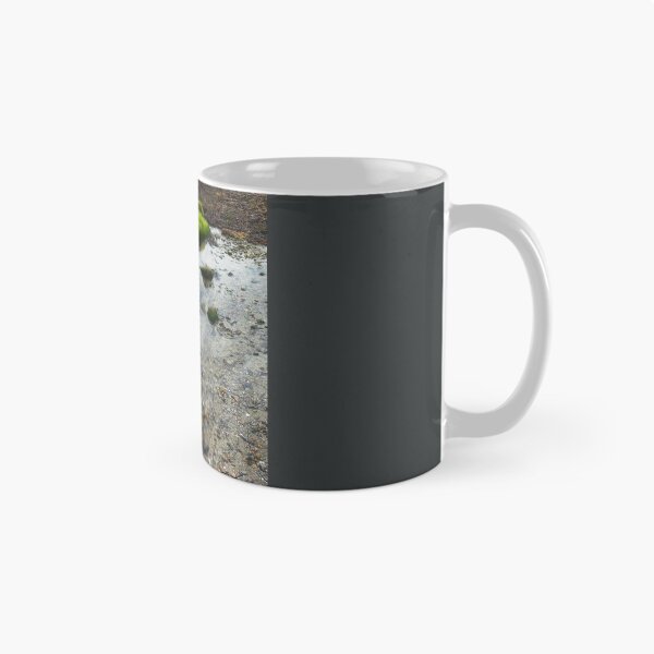 Item preview, Tidal pool designed and sold by CreativeGiant.