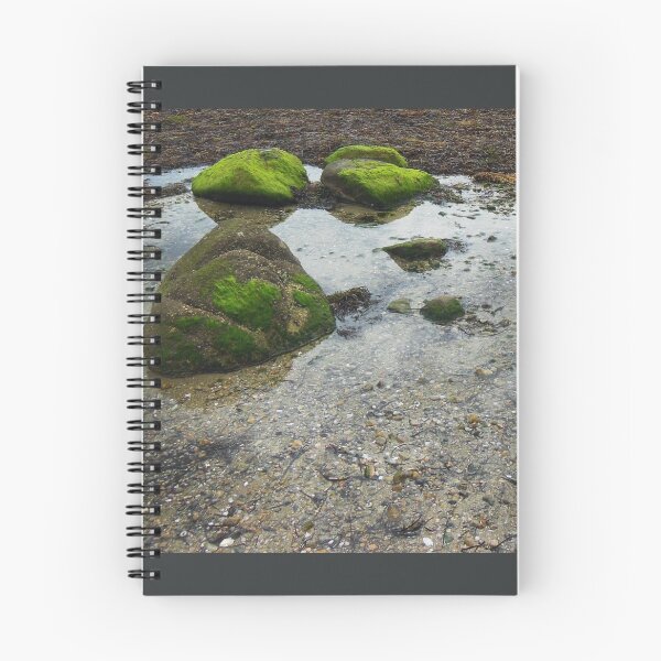 Item preview, Tidal pool designed and sold by CreativeGiant.