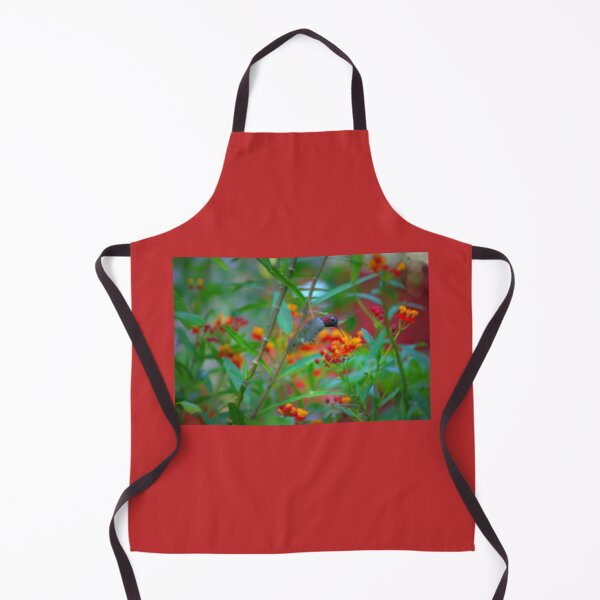 Item preview, Male Anna's Hummingbird and Milkweed designed and sold by K D Graves Photography.