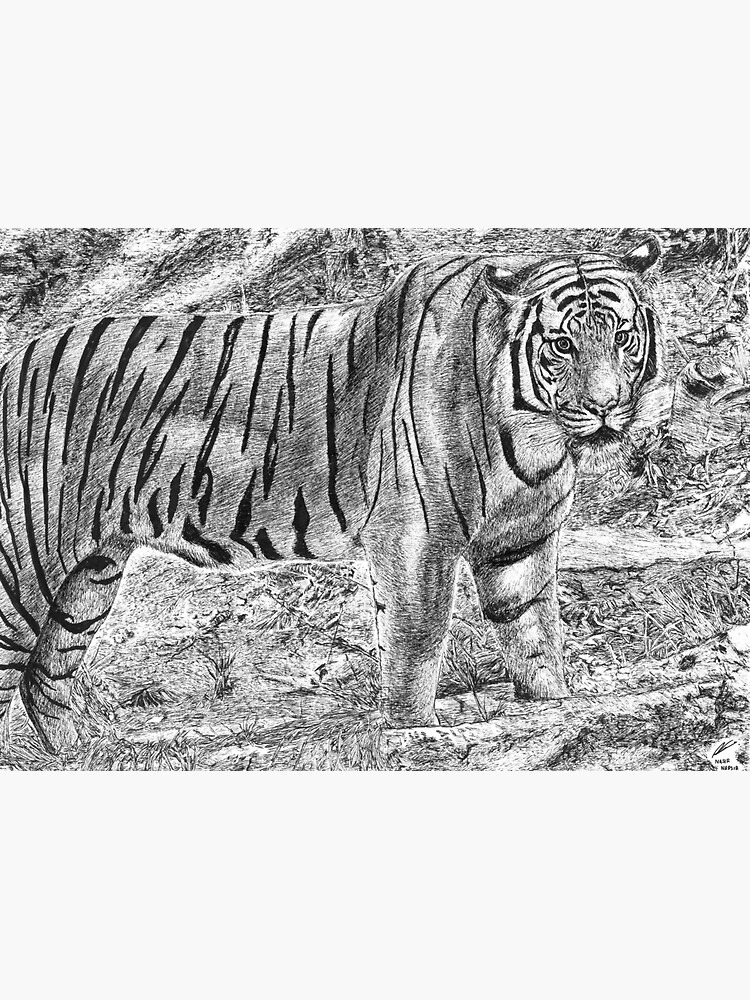 "Malayan Tiger" Sticker by Nasir-Nadzir | Redbubble