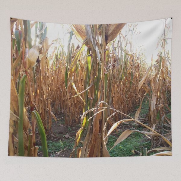 Item preview, Lost in the corn maze designed and sold by edwardtiptonart.