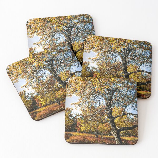 Item preview, Bur Oak in the park illustration designed and sold by CanadianWild418.