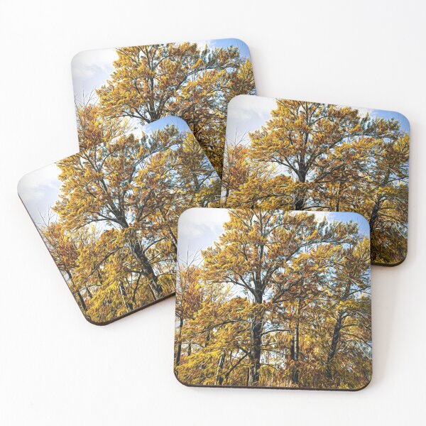 Item preview, Tree illustration designed and sold by CanadianWild418.