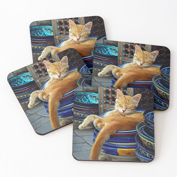 Item preview, 'Marrakesh Kat' designed and sold by Lidia D'Opera Photographer.