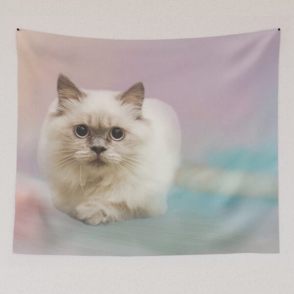 Item preview, Fluffy Himalayan Cat designed and sold by Elisabeth Lucas.