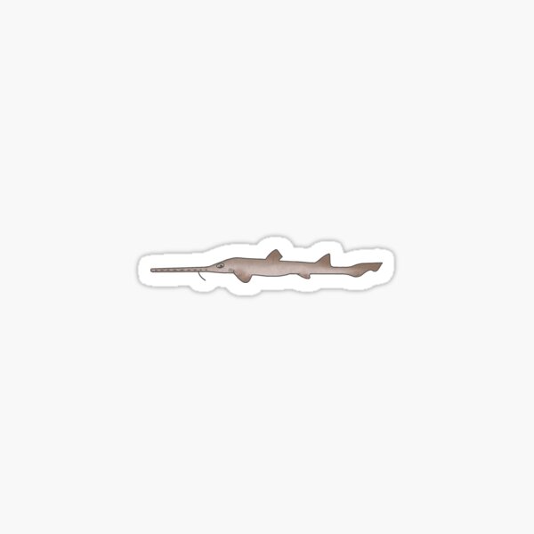 Item preview, African Dwarf Sawshark designed and sold by laurenmoee.