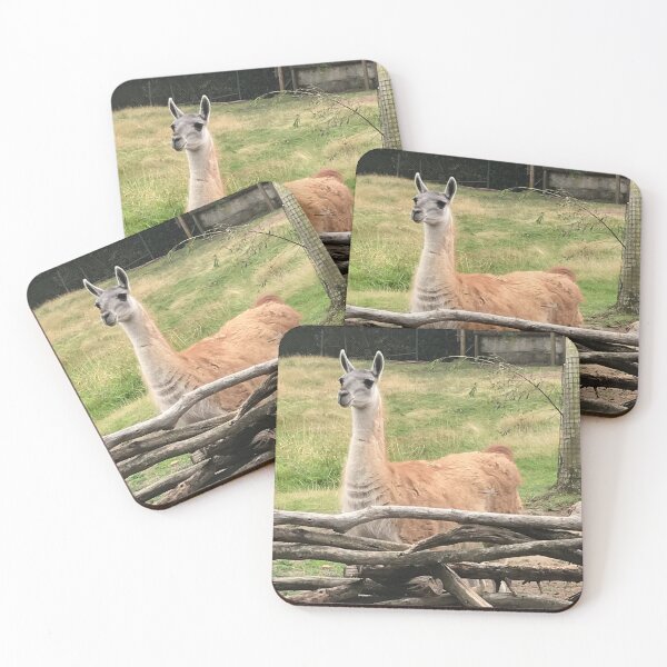 Item preview, Drama llama  designed and sold by SupremeGoddess.