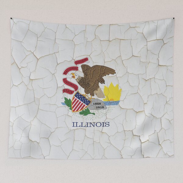 Item preview, Illinois Flag Grunge  Wall designed and sold by TRowanDesign.