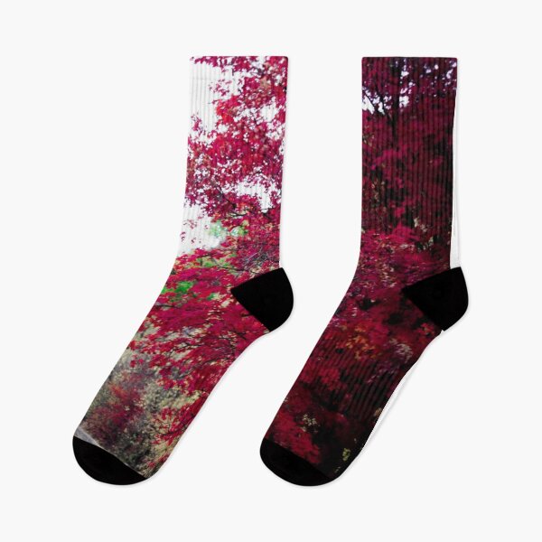 Item preview, Fall Trees designed and sold by kyliekazoo.