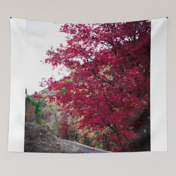Item preview, Fall Trees designed and sold by kyliekazoo.