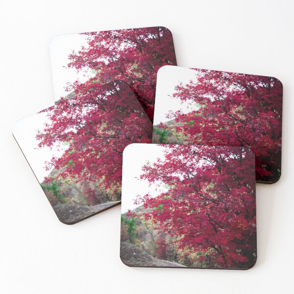 Item preview, Fall Trees designed and sold by kyliekazoo.