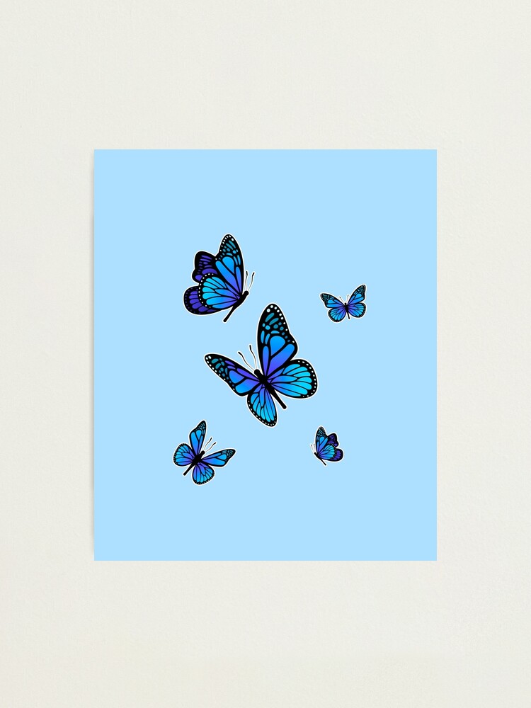 Aesthetic Light Blue Butterflies, Aesthetic Giftidea Photographic Print  for Sale by redouanesolo