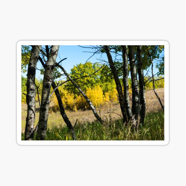Item preview, Foothills of Alberta designed and sold by CanadianWild418.