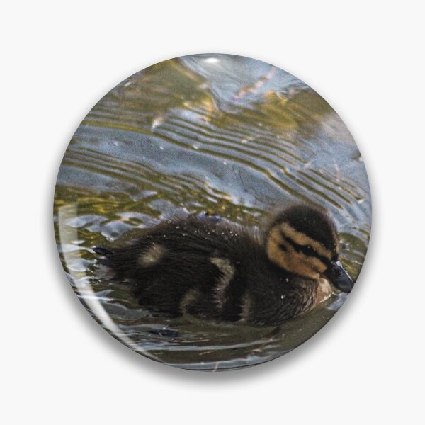 Item preview, Baby Mallard Duckling Swimming Pond designed and sold by Anna Lemos.