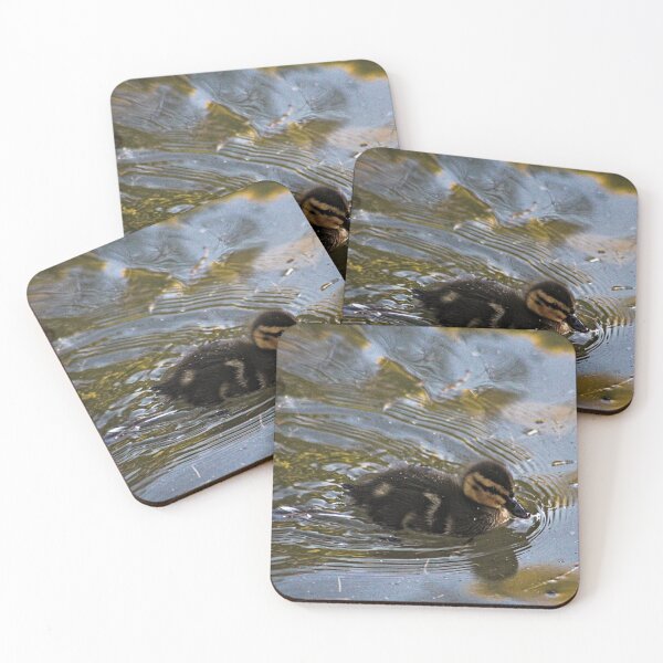 Item preview, Baby Mallard Duckling Swimming Pond designed and sold by Anna Lemos.