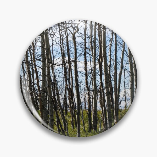 Item preview, Foothill scenes designed and sold by CanadianWild418.
