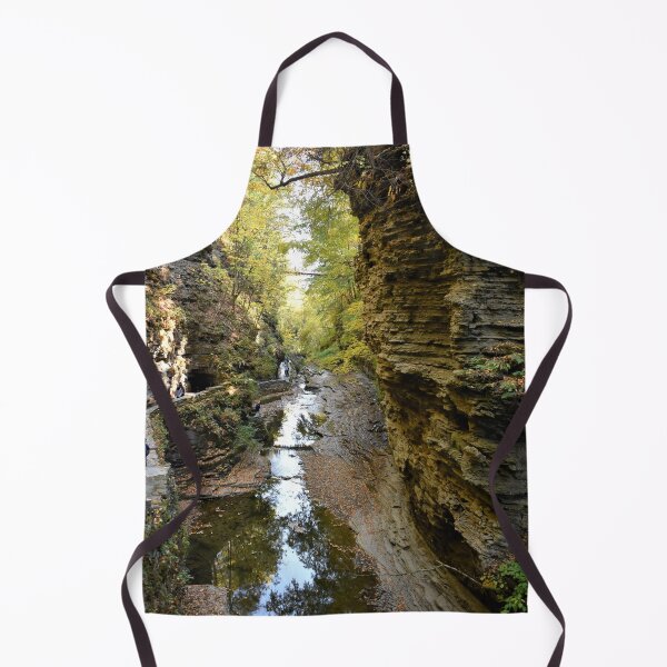 Item preview, Watkins Glen Gorge, New York designed and sold by searchlight.