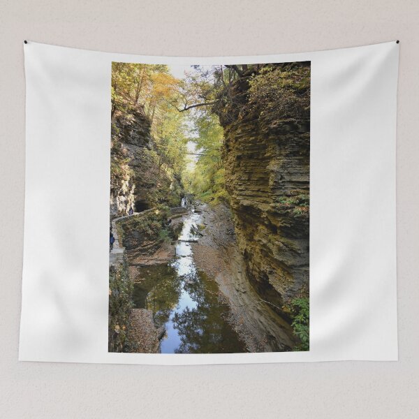 Item preview, Watkins Glen Gorge, New York designed and sold by searchlight.