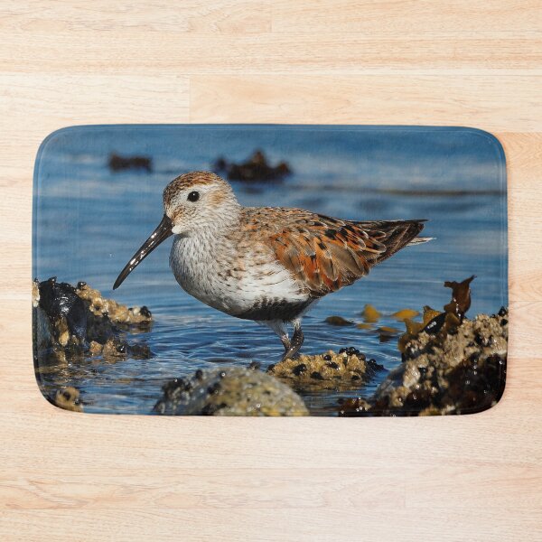 Item preview, A Solitary Dunlin at the Jetty designed and sold by walkswithnature.