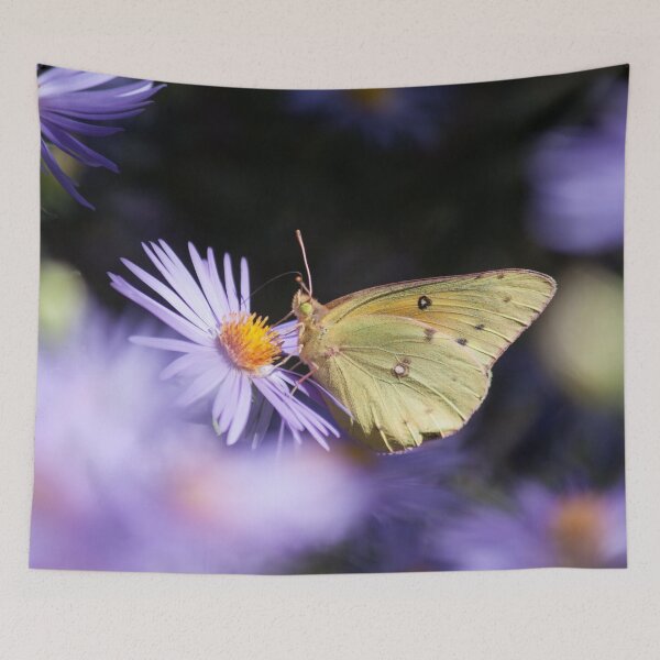 Item preview, Clouded Yellow and Purple designed and sold by Jacquelie.