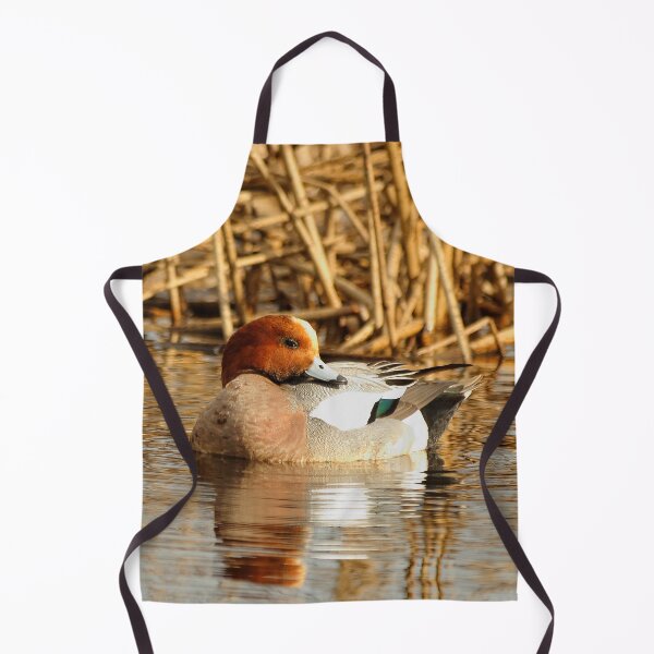 Item preview, Eurasian Wigeon at the Pond designed and sold by walkswithnature.